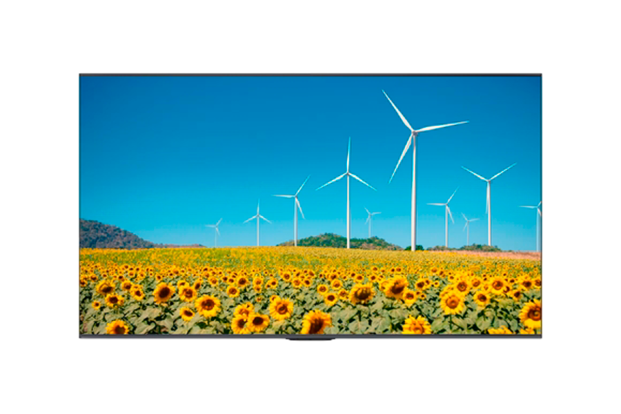 Информационный дисплей Hisense 65" 65DP30FE